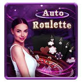Privacy and account safety notes beside eg333 apk live casino sections